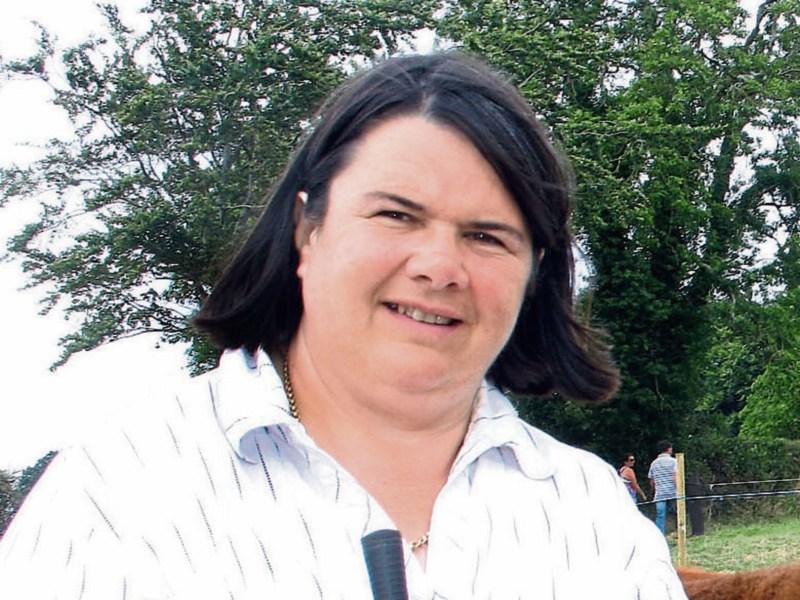 Teagasc to host free beef seminar in County Limerick