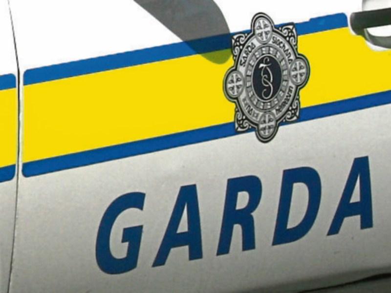 Alert neighbour thwarts attempted theft from Limerick farm yard 