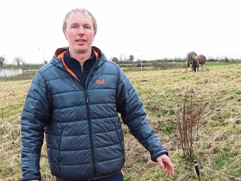 Autistic boy electrocuted by illegally constructed fence in Limerick business park