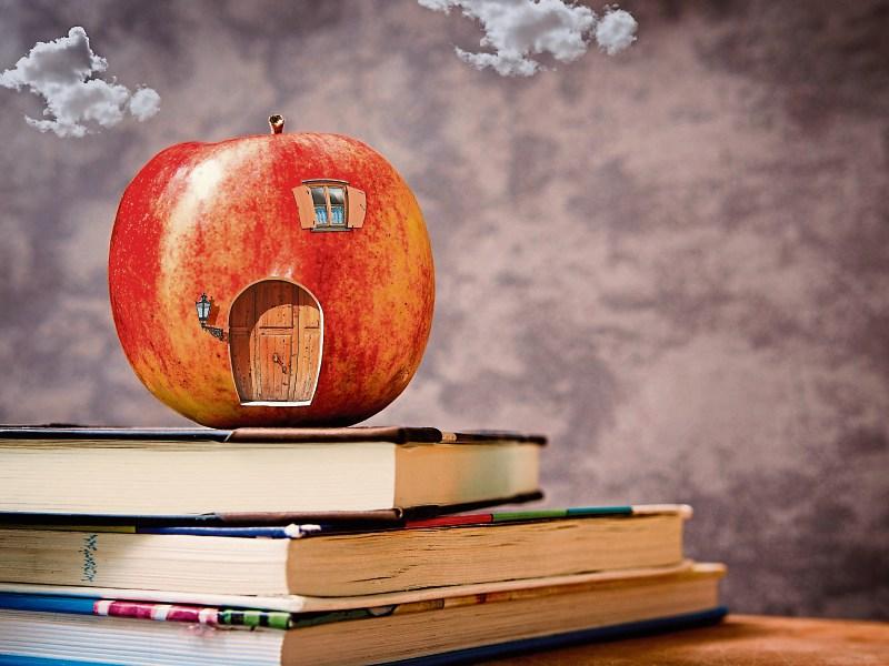 Positive Parenting: Advice from a primary school principal