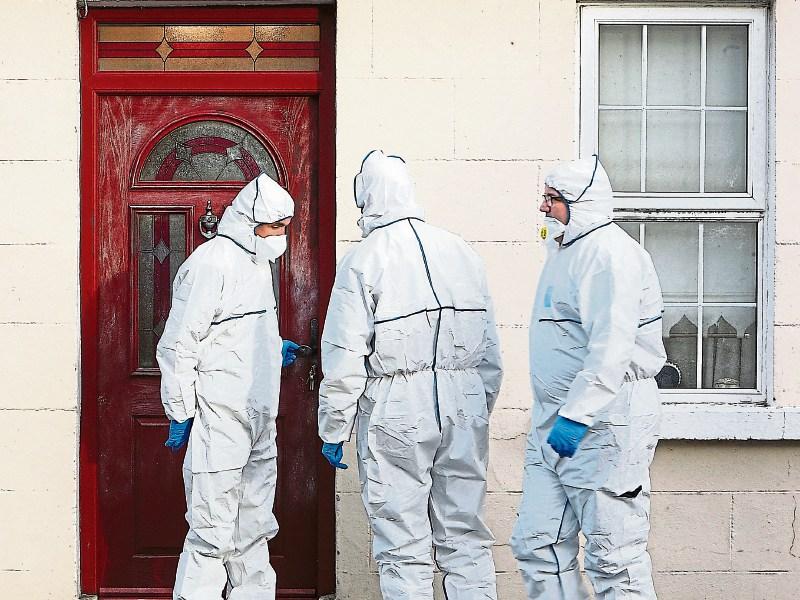 Book of evidence &lsquo;drafted&rsquo; in case of&nbsp;Rose Hanrahan murder suspect