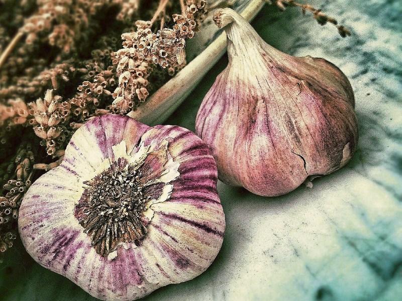 Healthy Living: Ten nutrients to help your immune system