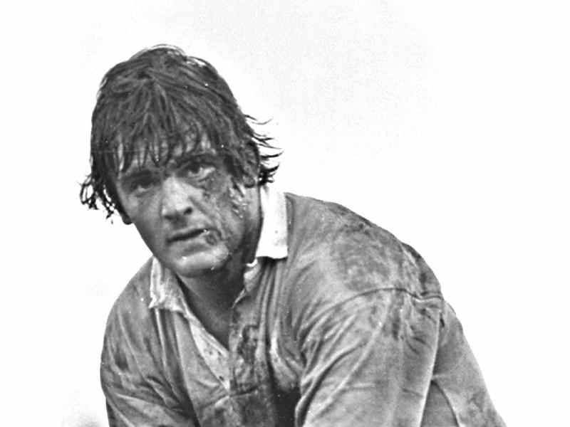 Limerick's Pat Whelan - Gritty forward turned off field power broker