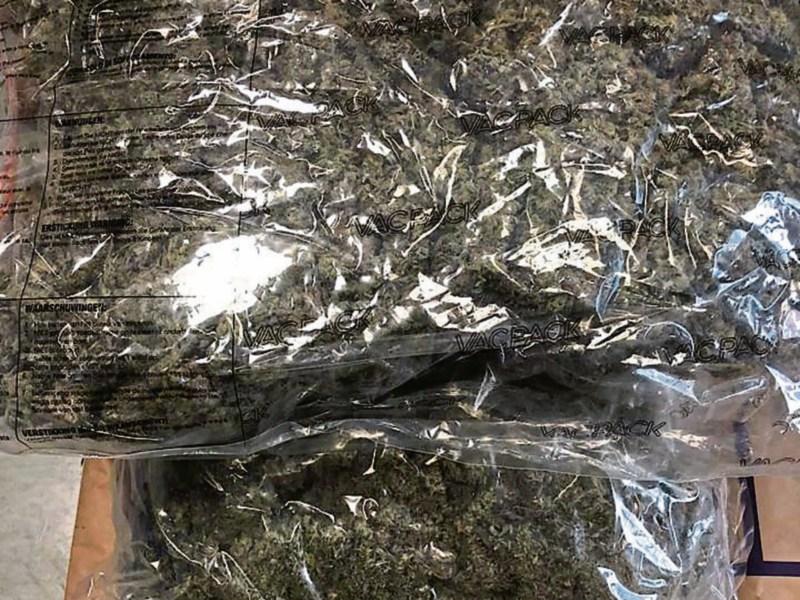 BREAKING: Two arrested following discovery of cannabis on waste ground in Limerick