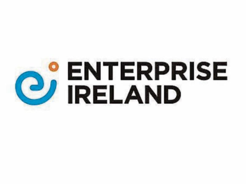 Enterprise Ireland Business Financial Planning Grant can assist domestically focused companies during crisis