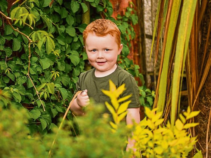 Team Limerick Clean-up launches new competition to mark International Biodiversity day