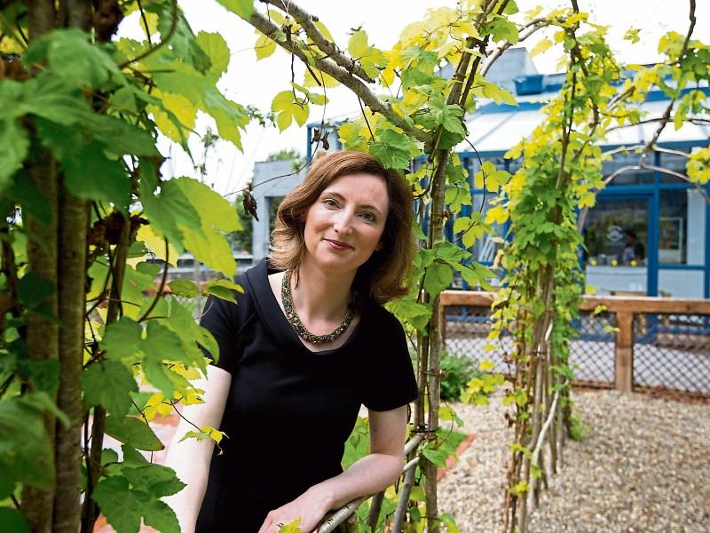 Limerick cycle campaign urges people to have their say on strategy