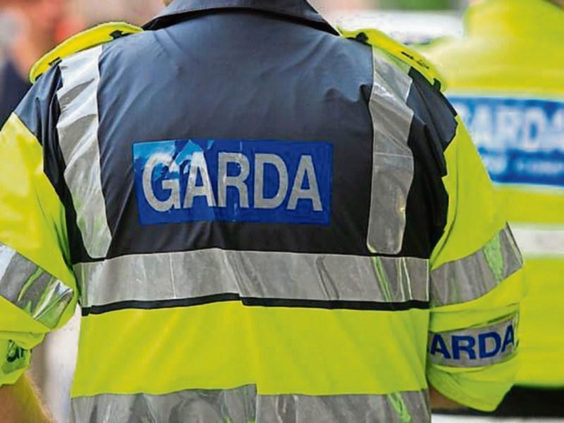 Limerick Gardai warning over bogus callers