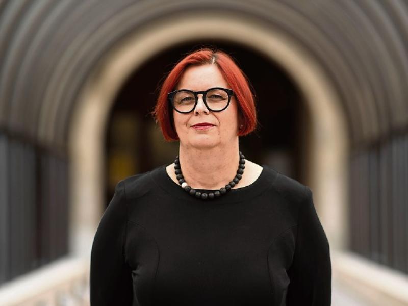 ‘Reputation of college was under threat’, says University of Limerick