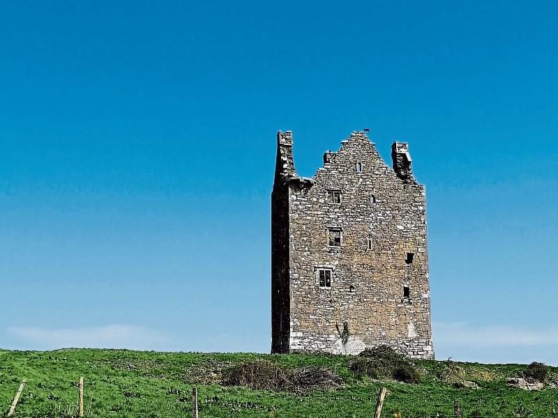 'Wildlife finds a home in Oola' - Albert Nolan