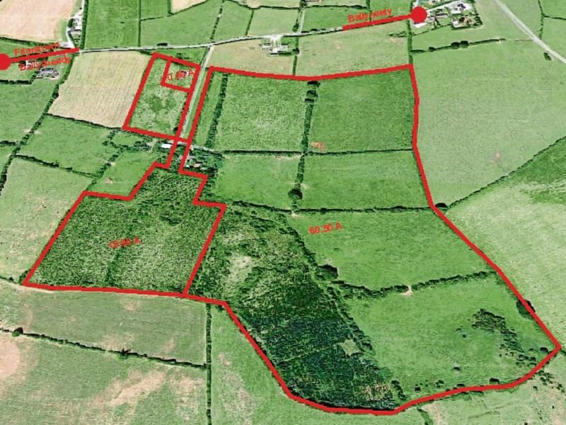 Businessman snatches up Limerick farm land at auction 