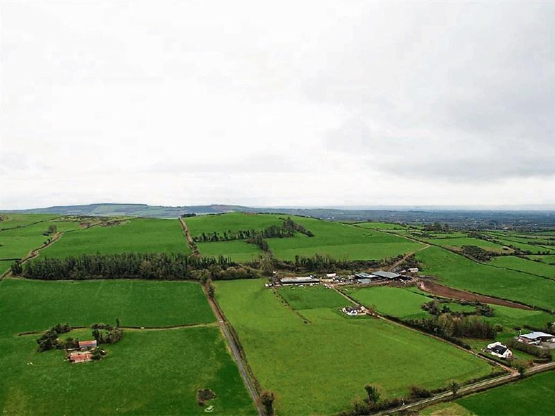 Get your ‘Dux’ in a row to buy this farm in County Limerick