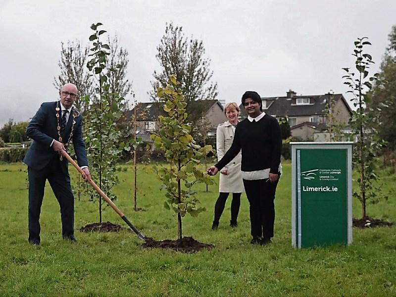 Tree planting initiative launched to make Limerick greener