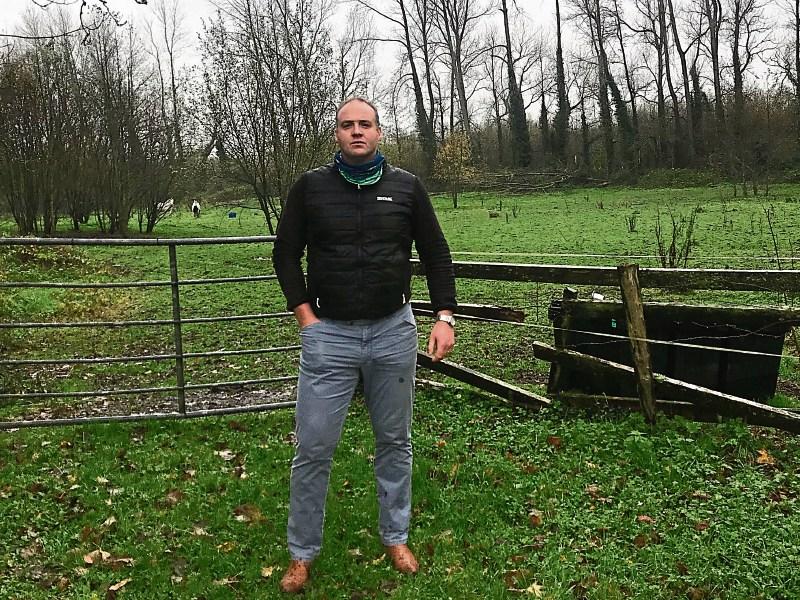 Row over council plans to build houses on site earmarked for pitches in Limerick village