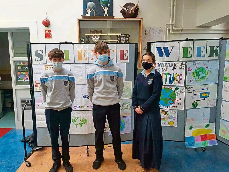 Wild About Wildlife: Celebrating science week in Limerick