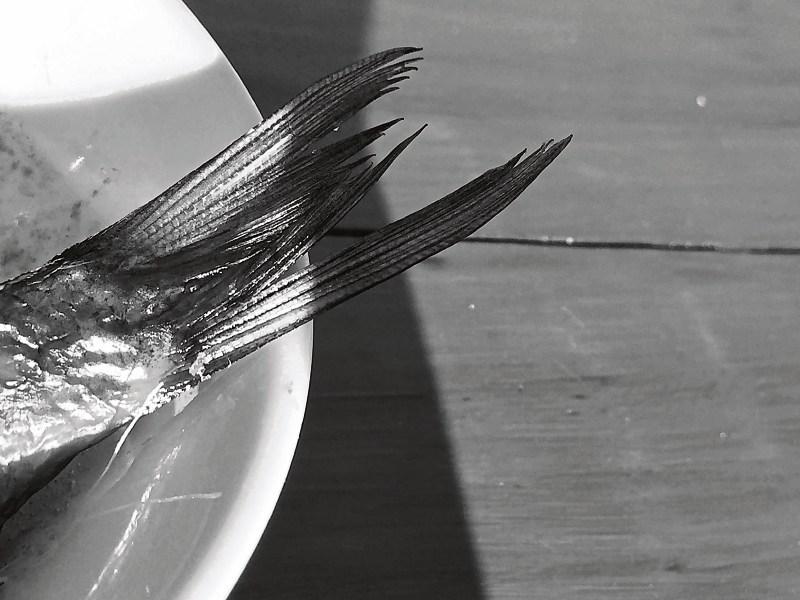 Out in the open: 'How I plan to beat the kipper conspiracy' - John B Keane