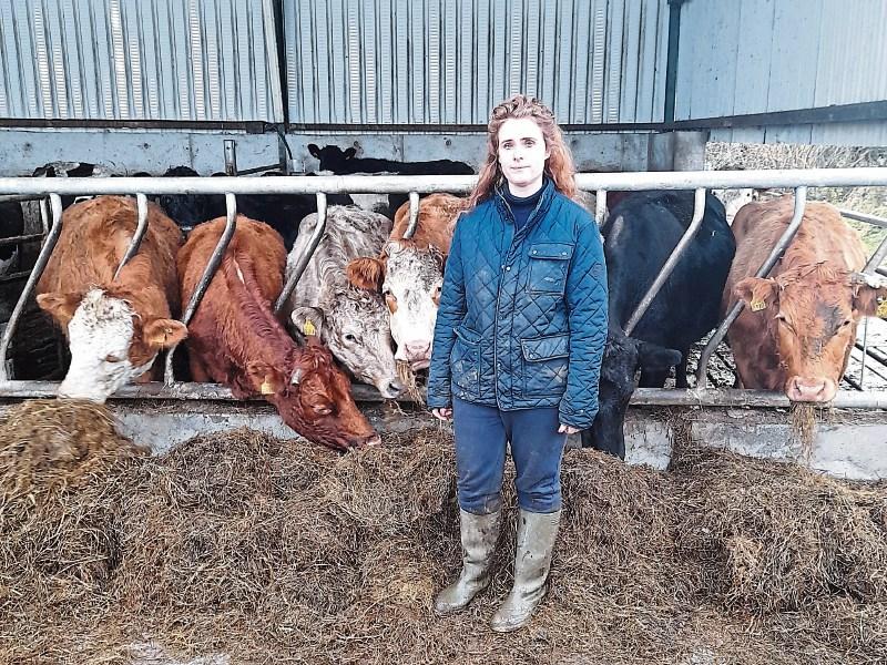 Limerick farmer ‘can’t sleep’ over M20 route
