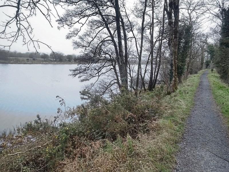 Wild About Wildlife: Exploring Parteen Weir