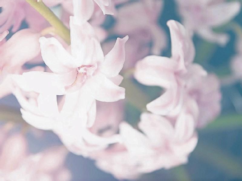 Deaths in Limerick - February 2, 2021