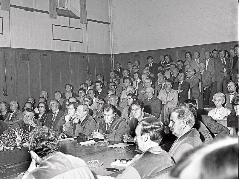 Limerick could go to polls for historic mayoral election this year