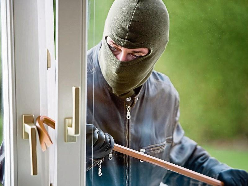 Handbag stolen from elderly woman's home in Limerick as she slept 