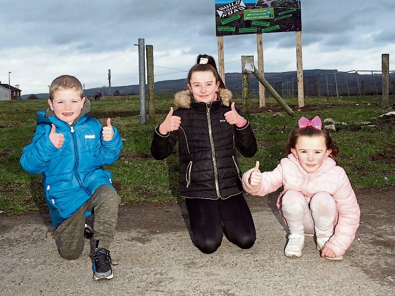 Taoiseach speaks out on €58m Limerick road
