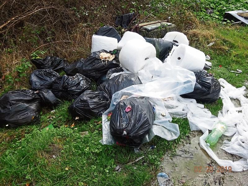Removal of bins from Limerick streets suggested