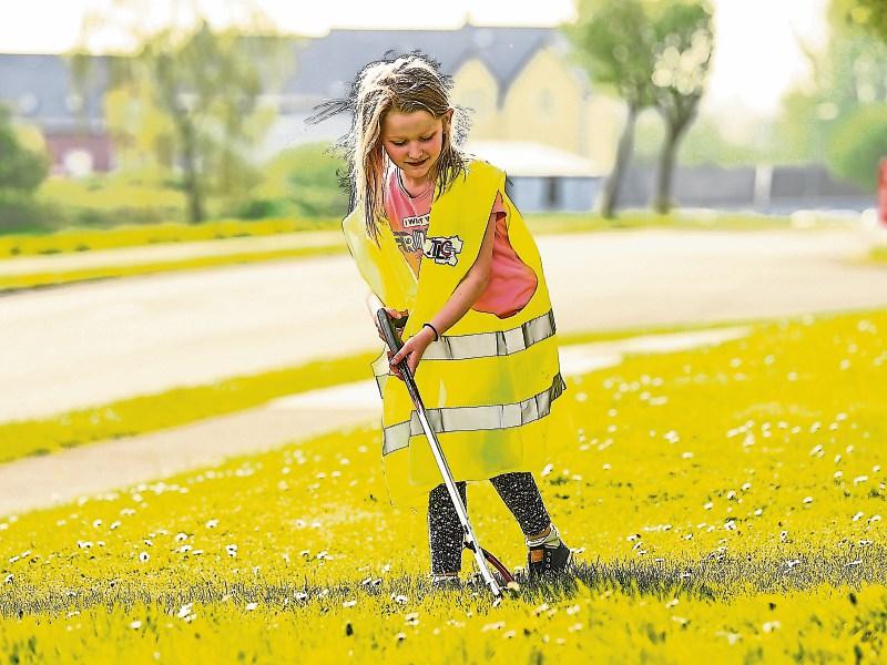 Marigolds at the ready! Major clean up operation in Limerick homes this Good Friday