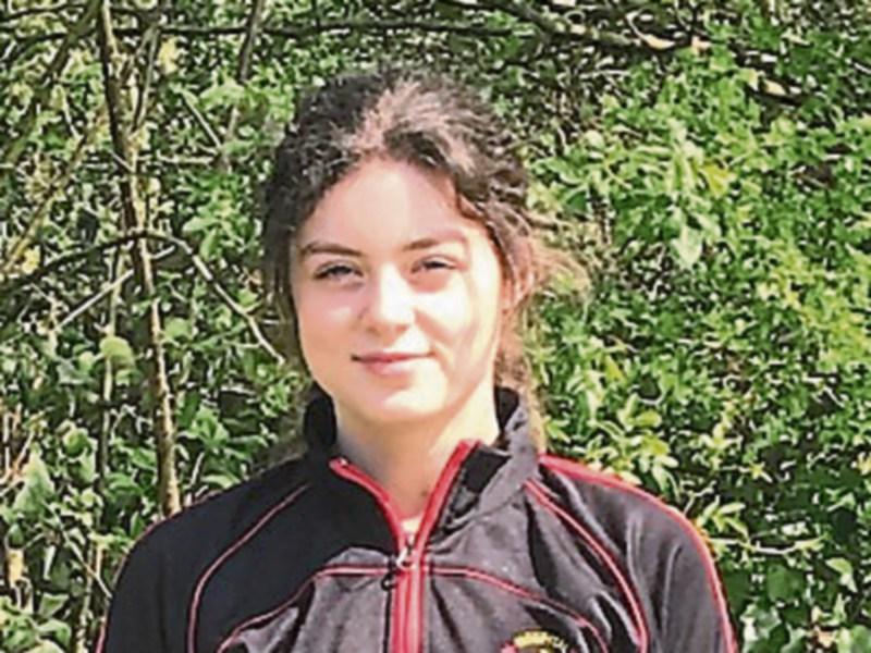 Limerick student wins top environmental prize