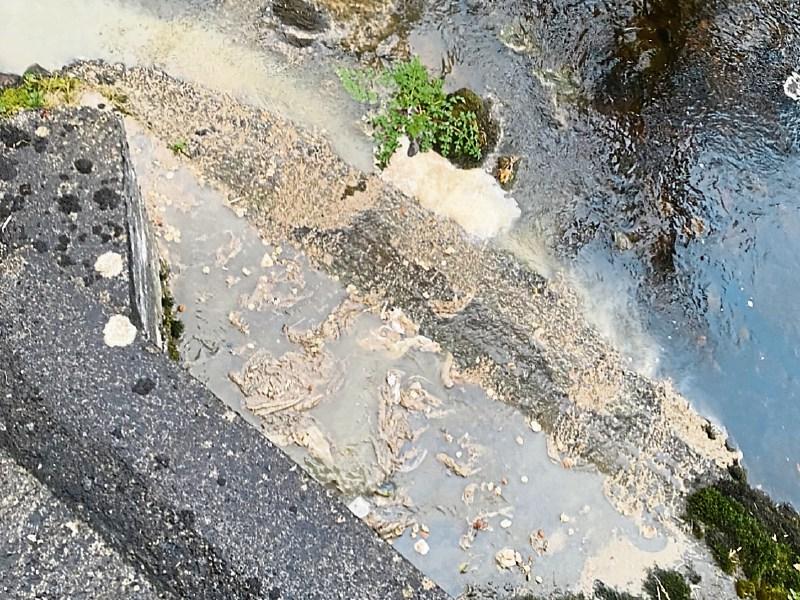 Questions raised at meeting over presence of raw sewage in Limerick river