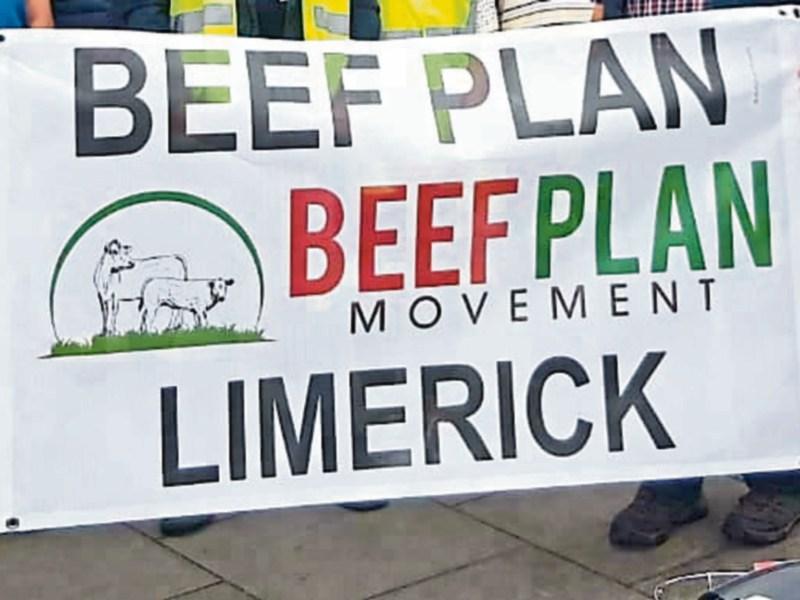 Limerick representatives appointed to Beef Plan board