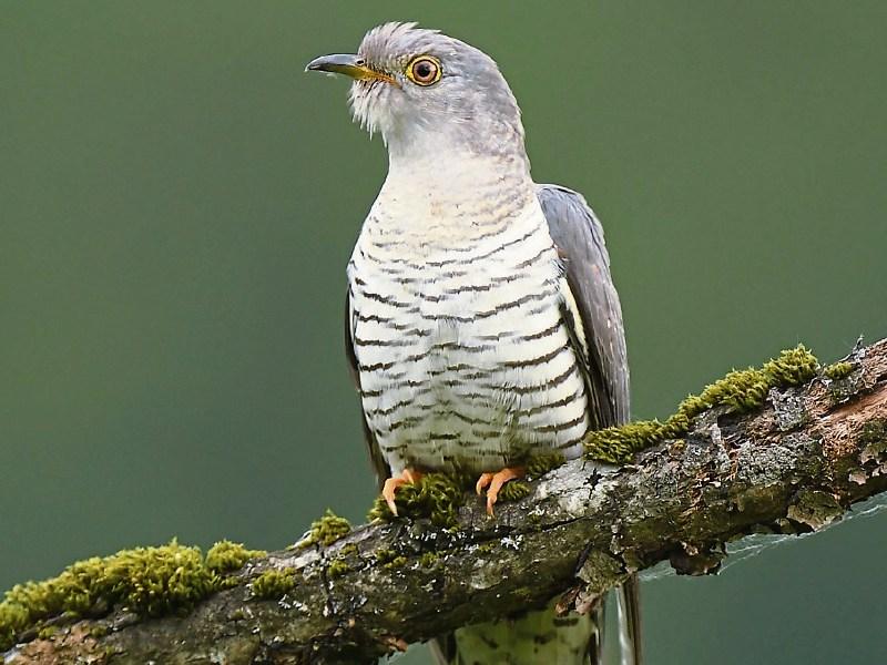 Then & Now: Summer really does take flight in June