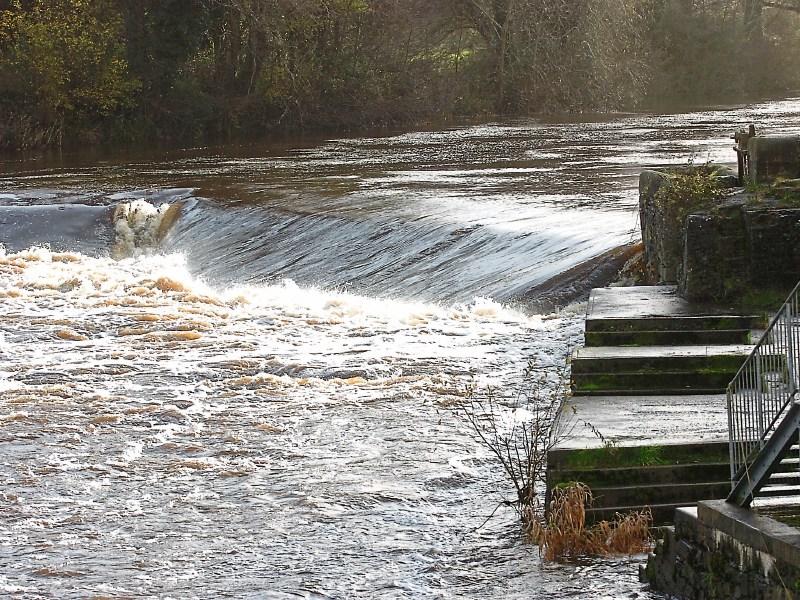Feasibility study looks at removal of Limerick weir
