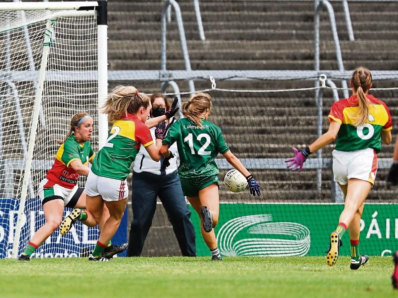 'We are in bonus territory' insists Limerick Ladies football manager Donal Ryan