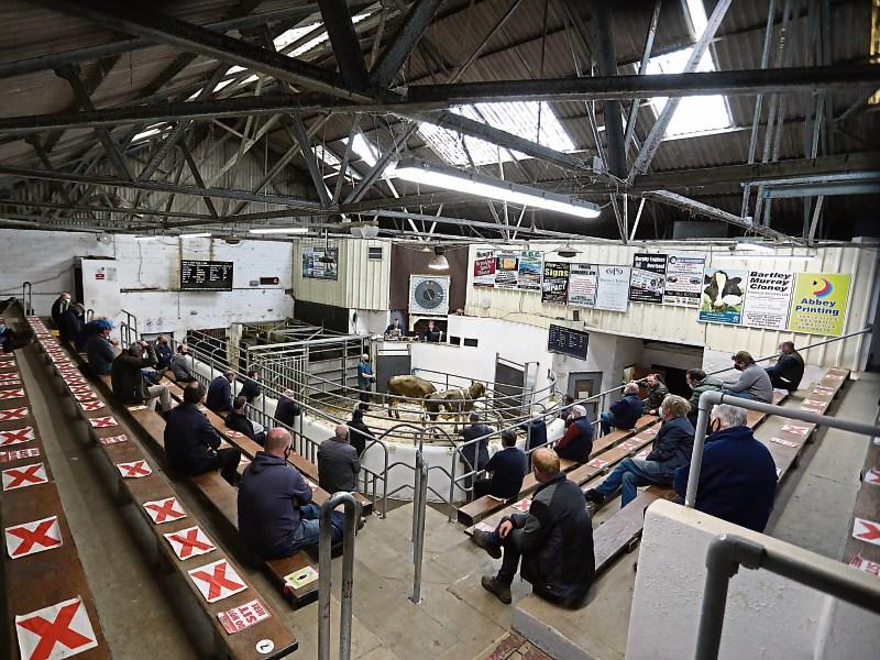 Limerick Farming: Cattle prices at Kilmallock Mart &lsquo;at an all time high&rsquo;