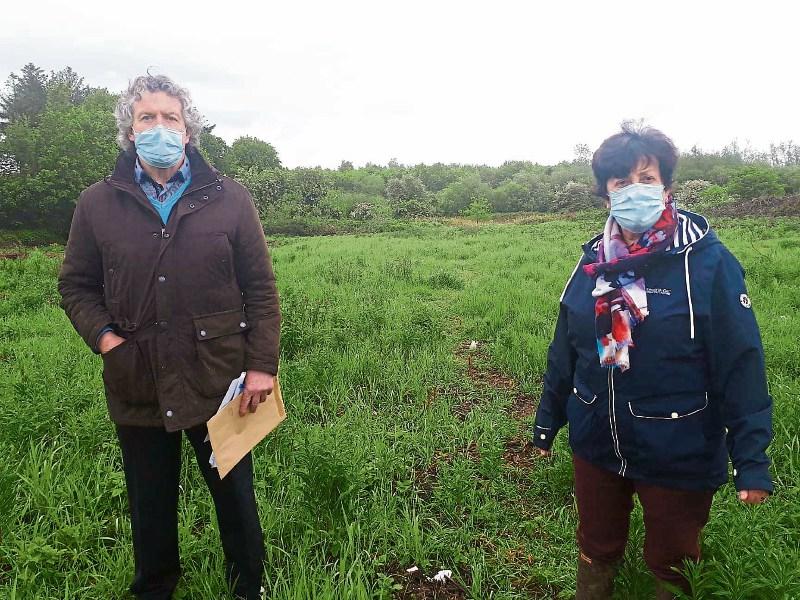 Almost 50 object to new Limerick homes on banks of the Shannon