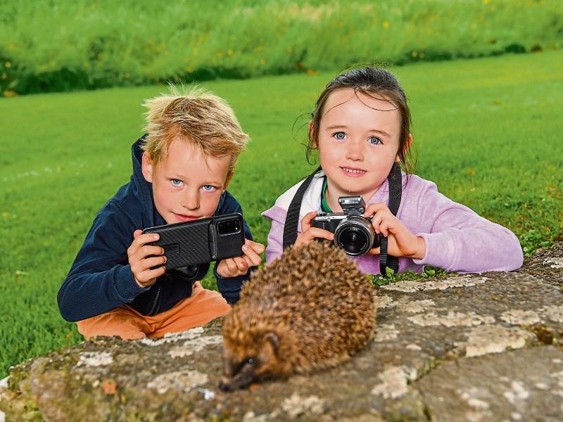 Lovely Limerick - The Great Outdoors: Go wild with new TLC photo competition
