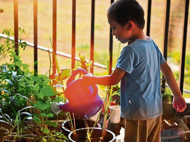 Green Fingers Getting little green fingers gardening Limerick Live