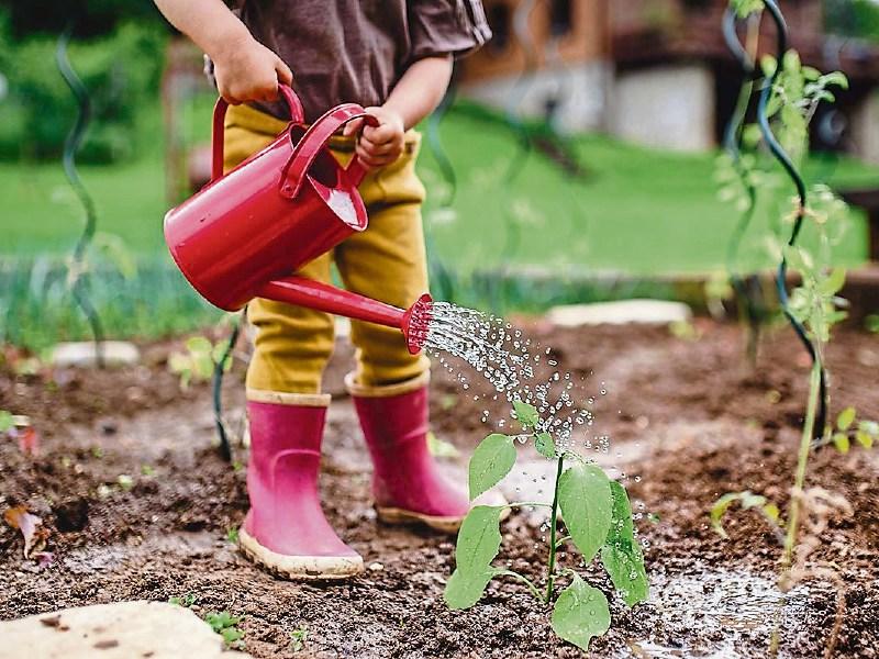 Green Fingers: Getting kids involved in the garden