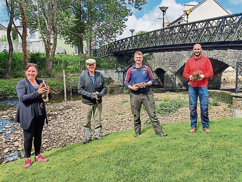 Don’t quack up! 60 ducklings have new home in Limerick village