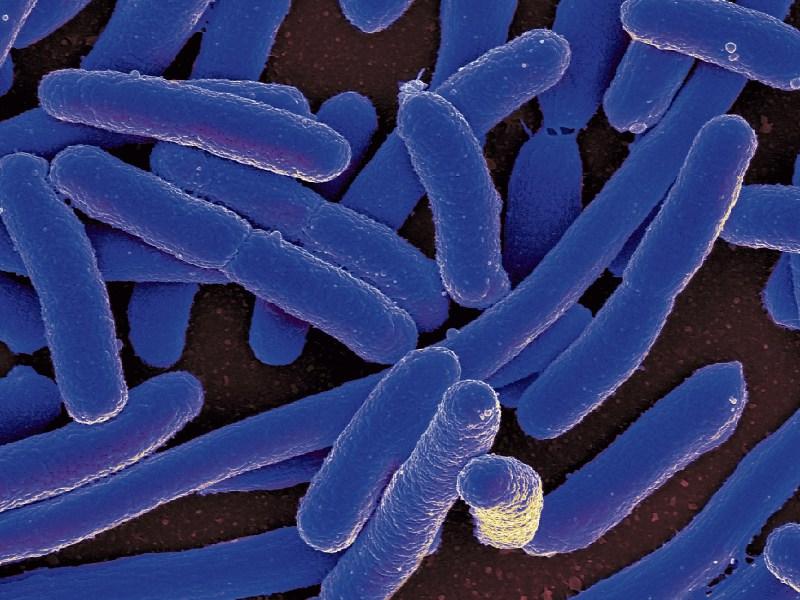 Study from Limerick university marks milestone in battle against global health threat