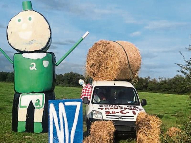 Limerick hurling star is in Bridie Mulqueen’s bad books!