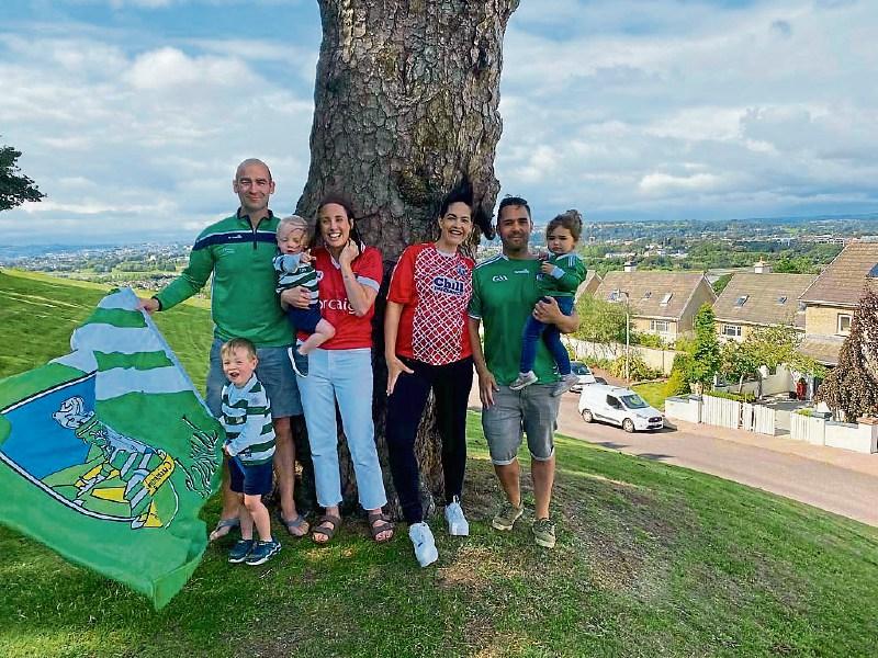 Limerick fans in enemy territory still fly their flags on the Leeside