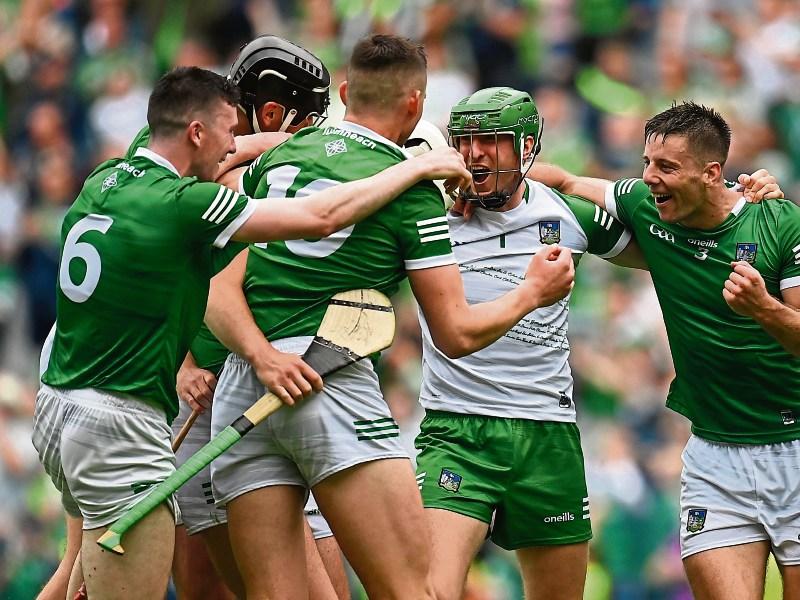 Opinion: Back to Back Champions - Limerick are a team to enjoy - Shane Dowling