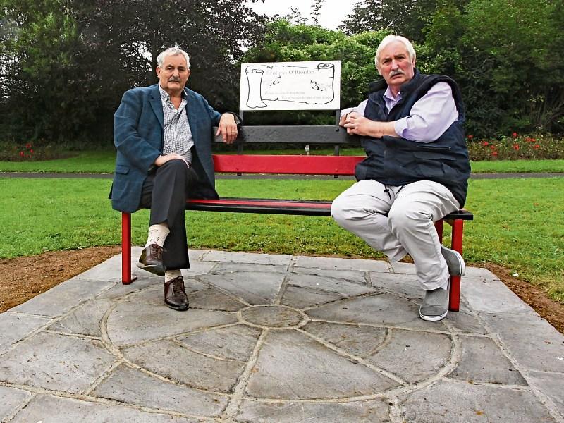 Publicans toast the late Dolores O'Riordan with special tribute in town park 