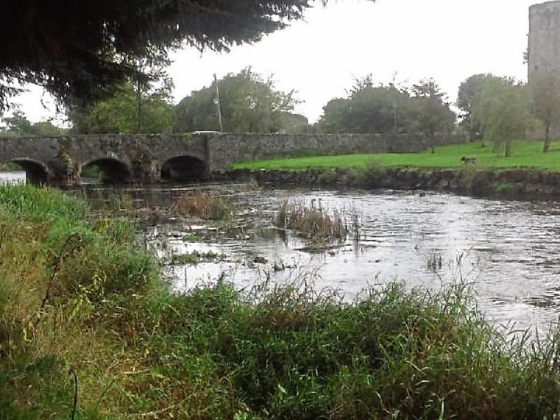 Wild About Wildlife: Celebrating Waters Heritage Day