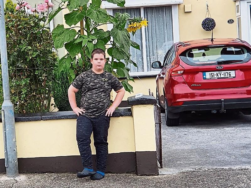 Tale of the Limerick pupil and the giant sunflower!