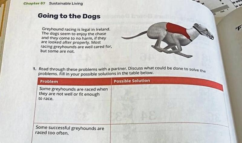 Limerick TD expresses concern about portrayal of greyhound racing in school