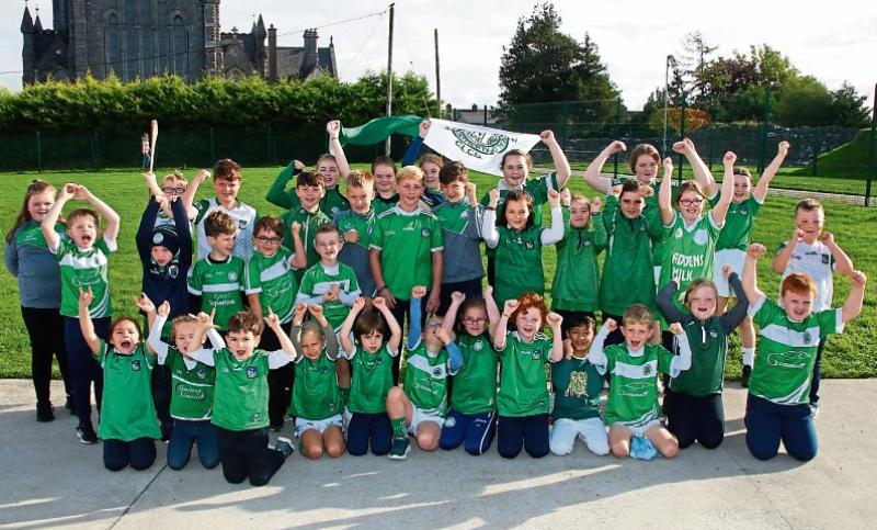 Final countdown for club pride in Limerick 
