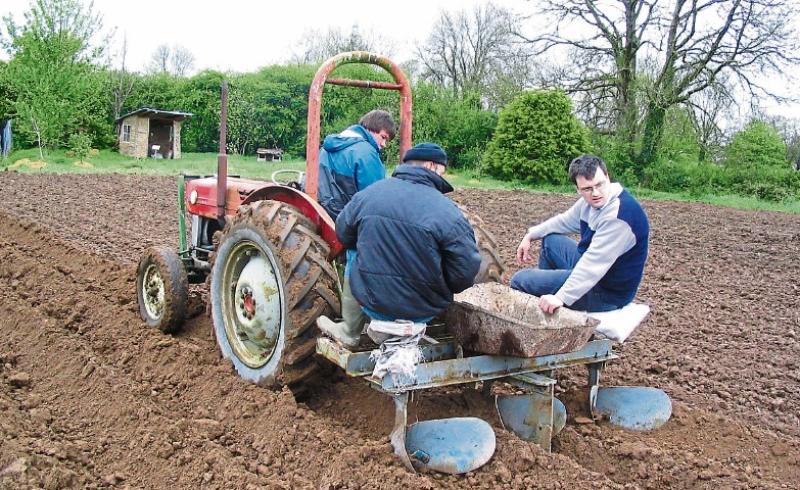 Thirty years of growing new ideas at Dromcollogher Organic College